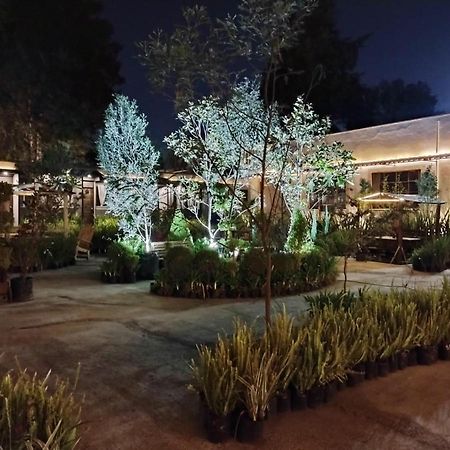 Utopia Hotel Boutique Мексико Сити Екстериор снимка