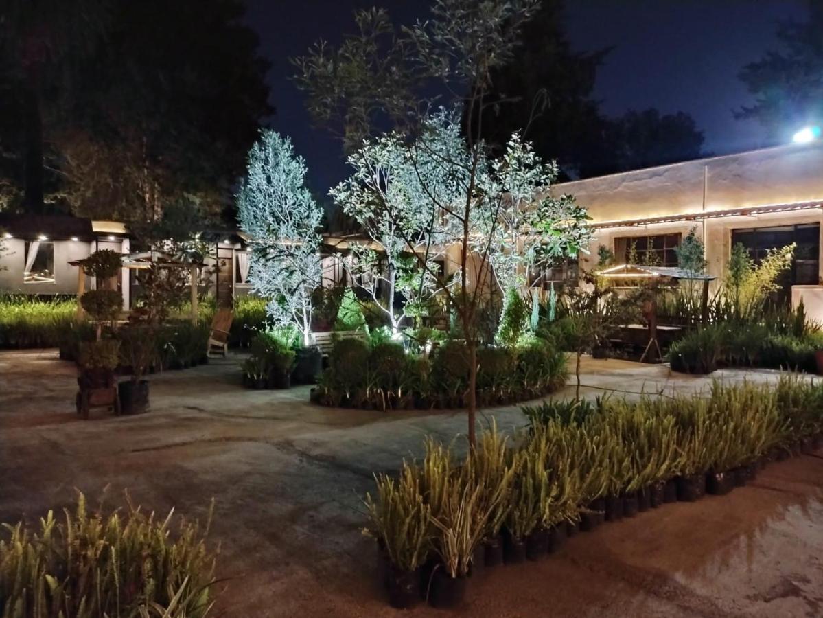 Utopia Hotel Boutique Мексико Сити Екстериор снимка
